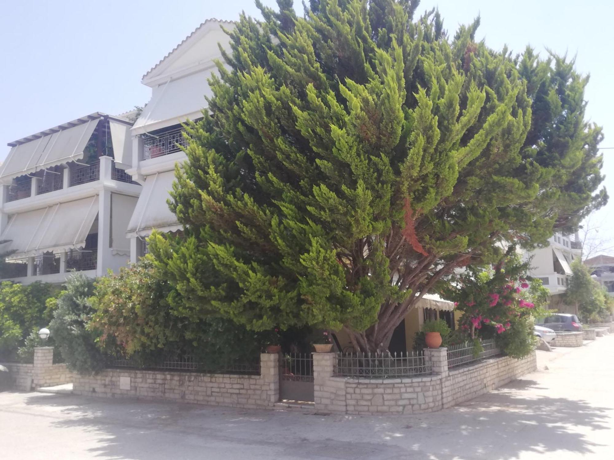 Vkastri City Apartment Lefkada City ภายนอก รูปภาพ